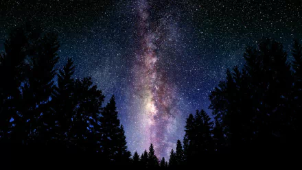 A stunning HD wallpaper showcasing the Milky Way, with vibrant colors and a star-filled sky framed by silhouettes of dark trees, evokes a sense of wonder and exploration.