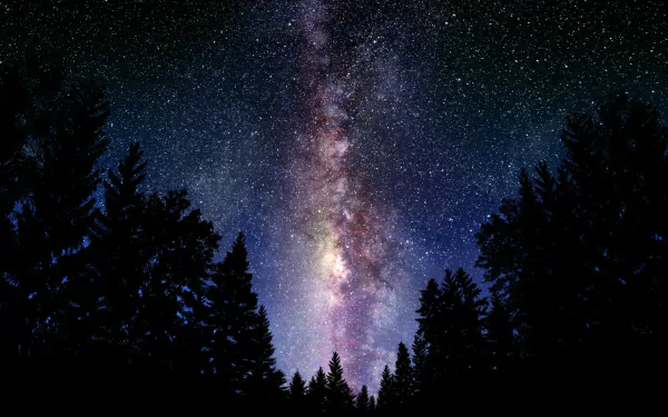 A stunning HD wallpaper showcasing the Milky Way, with vibrant colors and a star-filled sky framed by silhouettes of dark trees, evokes a sense of wonder and exploration.