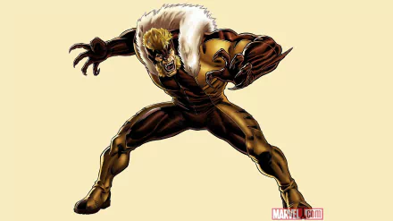Comic Sabretooth (X-Men) HD Desktop Wallpaper | Background Image