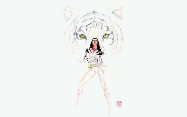 Comics White Tiger HD Wallpaper | Background Image