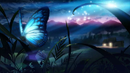Animal butterfly HD Desktop Wallpaper | Background Image