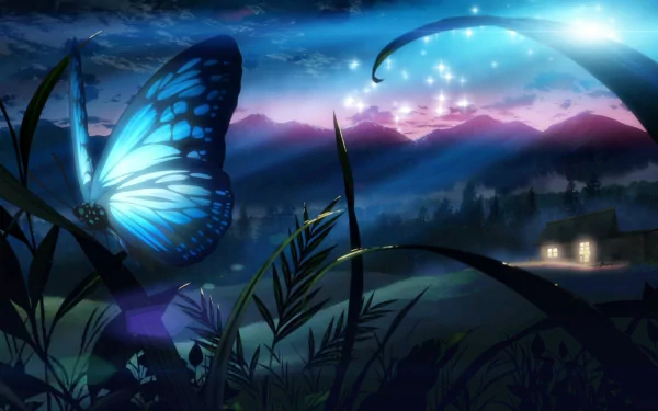 Animal butterfly HD Desktop Wallpaper | Background Image