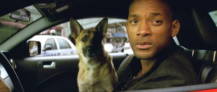 movie I Am Legend HD Desktop Wallpaper | Background Image