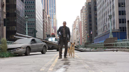 movie I Am Legend HD Desktop Wallpaper | Background Image