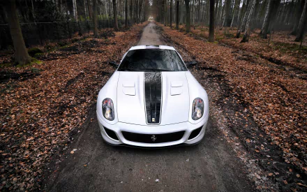vehicle Ferrari 599 GTB Fiorano HD Desktop Wallpaper | Background Image