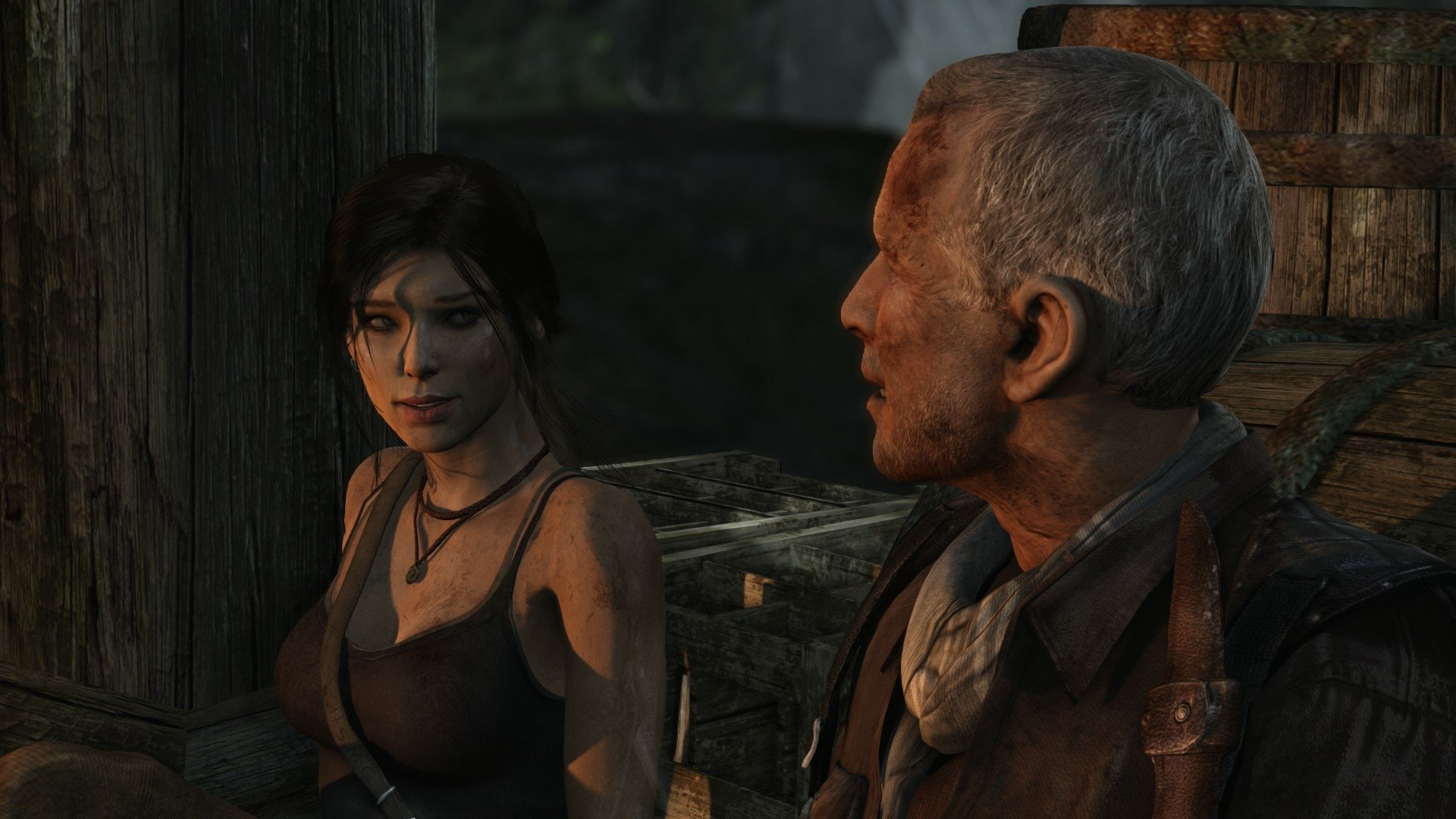 Download Video Game Tomb Raider (2013) HD Wallpaper