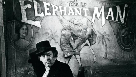 movie The Elephant Man HD Desktop Wallpaper | Background Image