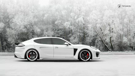 vehicle Porsche Panamera HD Desktop Wallpaper | Background Image