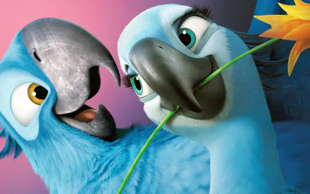 HD PC desktop wallpaper featuring two animated blue macaws from the movie Rio 2, one holding a flower in its beak against a vibrant background.