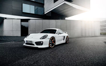 vehicle Porsche Cayman HD Desktop Wallpaper | Background Image