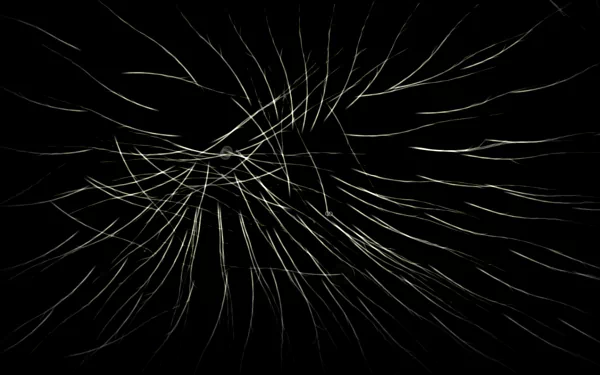 video game Borealis HD Desktop Wallpaper | Background Image