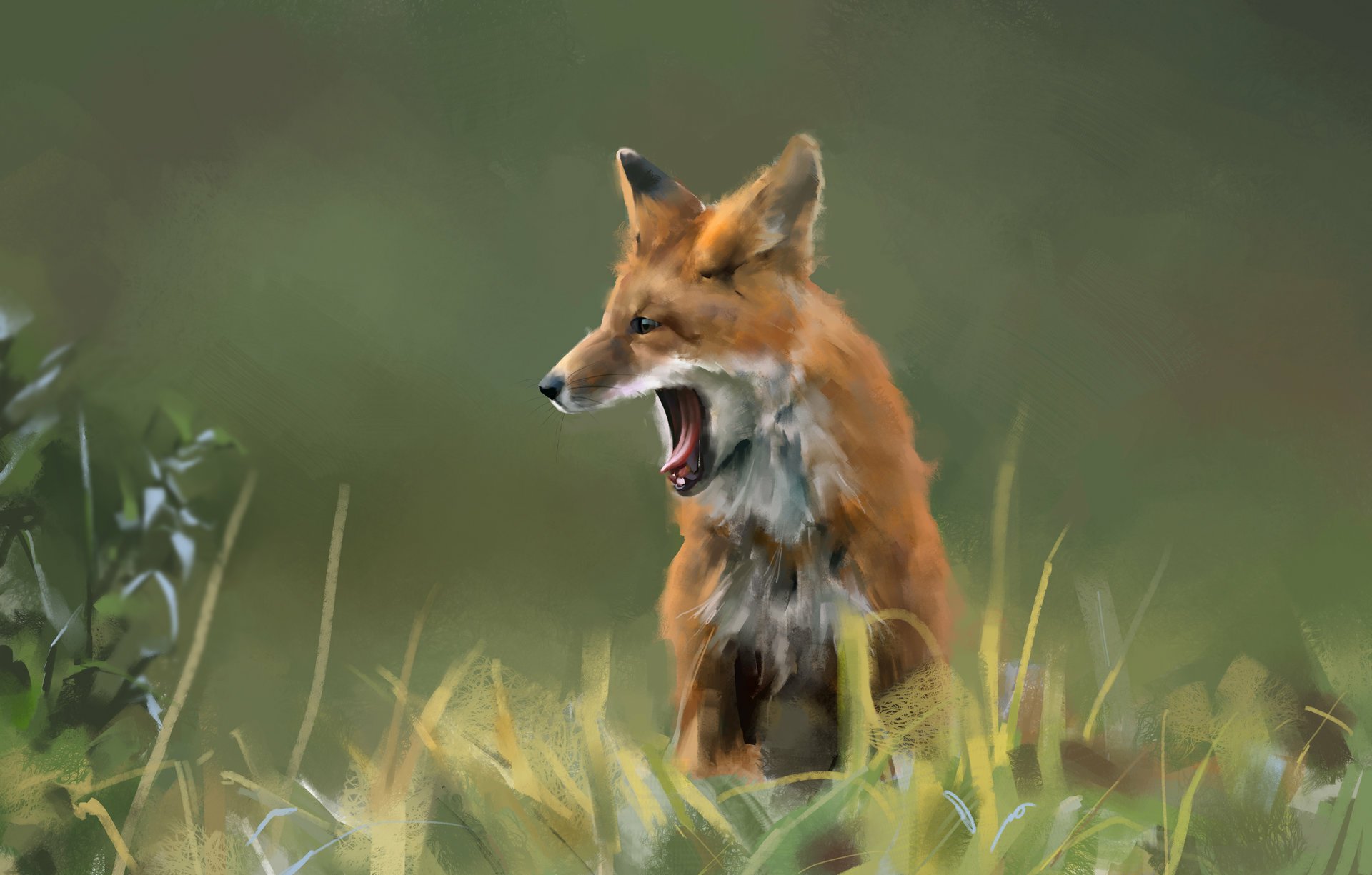 HD PC desktop wallpaper showing a red fox (animal) yawning in tall grass against a soft green, blurred background.