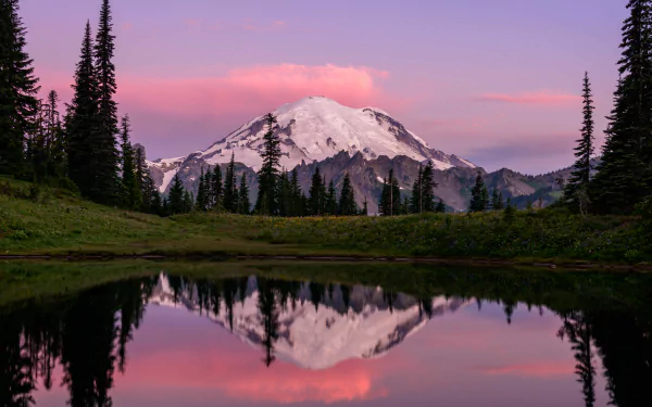 Scenic 4K Ultra HD desktop wallpaper of Mount Rainier at sunset, with snowy peaks, pine trees, and a calm reflective lake in the foreground.