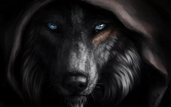 HD fantasy desktop wallpaper featuring a striking wolf with piercing blue eyes, shrouded in a hood, set against a dark background.