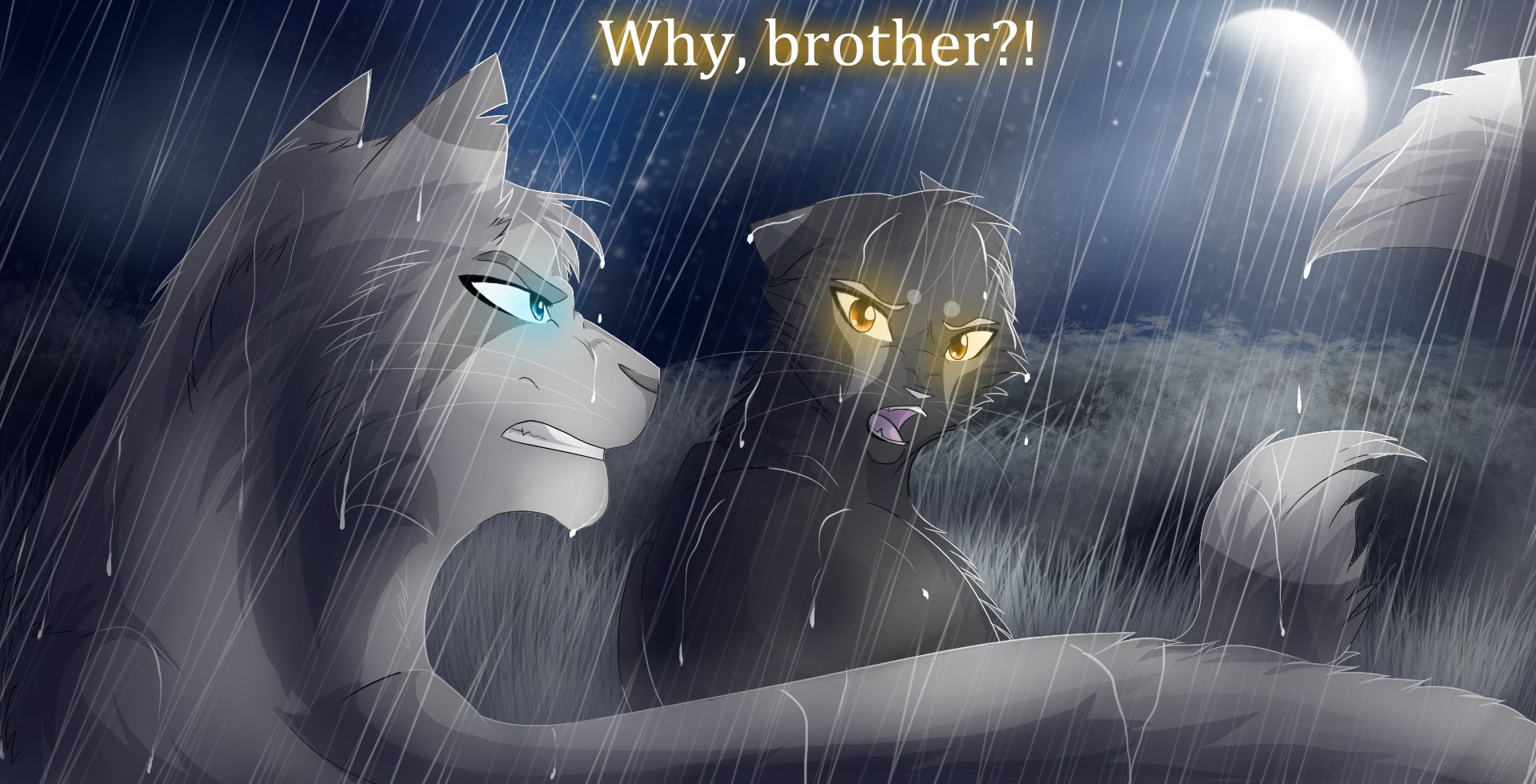 HD fantasy animal wallpaper showing two cats with glowing eyes in a rainstorm, one pleading with the other under dramatic lighting and stormy skies.