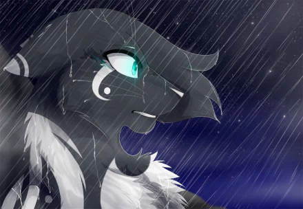 HD fantasy desktop wallpaper featuring a mystical black cat with glowing teal eyes standing in the rain under a stormy night sky.