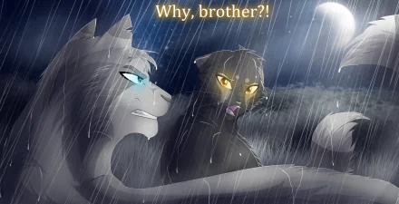 HD fantasy animal wallpaper showing two cats with glowing eyes in a rainstorm, one pleading with the other under dramatic lighting and stormy skies.