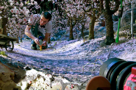 HD PC desktop wallpaper from the movie Coraline, showing a behind-the-scenes shot of a model being crafted in a detailed, miniature outdoor set surrounded by blossoms.
