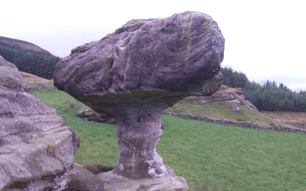 nature Bunnet Stane HD Desktop Wallpaper | Background Image