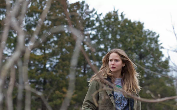 Jennifer Lawrence movie Winter's Bone HD Desktop Wallpaper | Background Image
