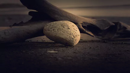 A close-up HD desktop wallpaper of a smooth rock resting on soil and sand, with driftwood in the background, capturing the serene beauty of natural elements.
