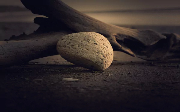 A close-up HD desktop wallpaper of a smooth rock resting on soil and sand, with driftwood in the background, capturing the serene beauty of natural elements.