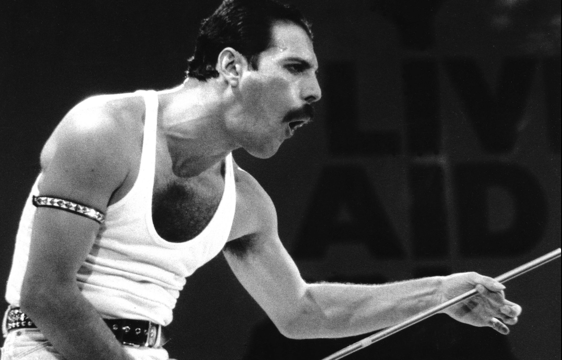 Download Music Freddie Mercury 4k Ultra HD Wallpaper