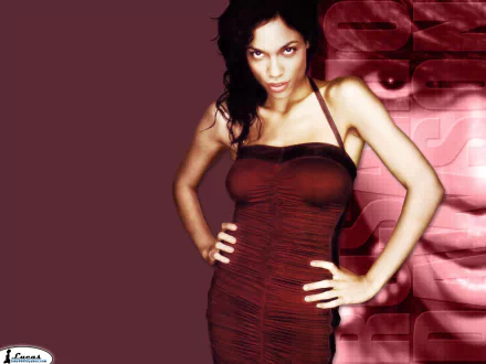 Celebrity Rosario Dawson HD Desktop Wallpaper | Background Image