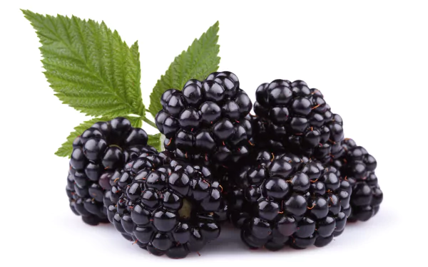 food blackberry HD Desktop Wallpaper | Background Image