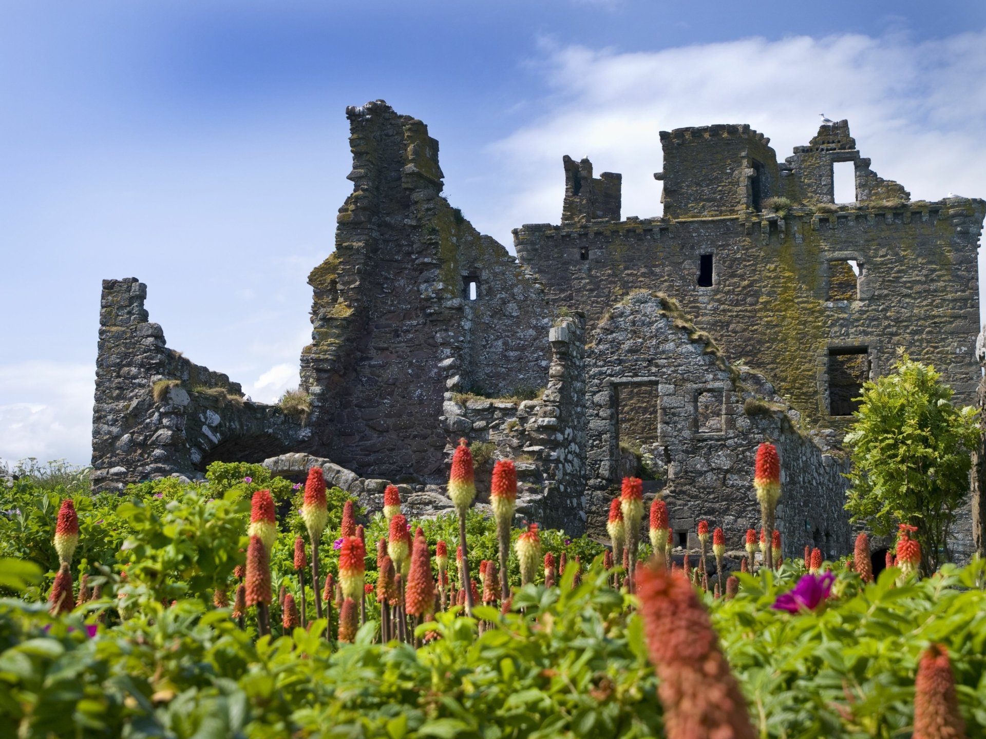 Download Man Made Dunnottar Castle HD Wallpaper