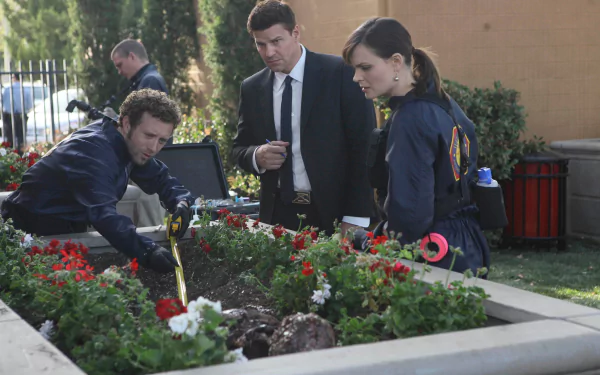 Jack Hodgins T.J. Thyne Emily Deschanel Temperance Brennan Seeley Booth David Boreanaz TV Show Bones (TV Show) HD Desktop Wallpaper | Background Image