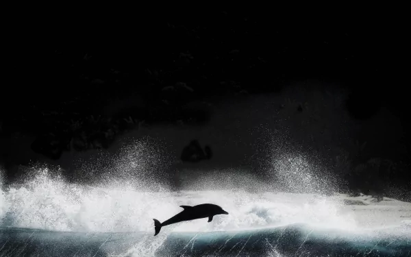 A dolphin leaps above crashing waves against a dark backdrop, captured in stunning 4K Ultra HD for a vivid PC desktop wallpaper.