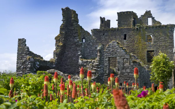 man made dunnottar castle HD Desktop Wallpaper | Background Image