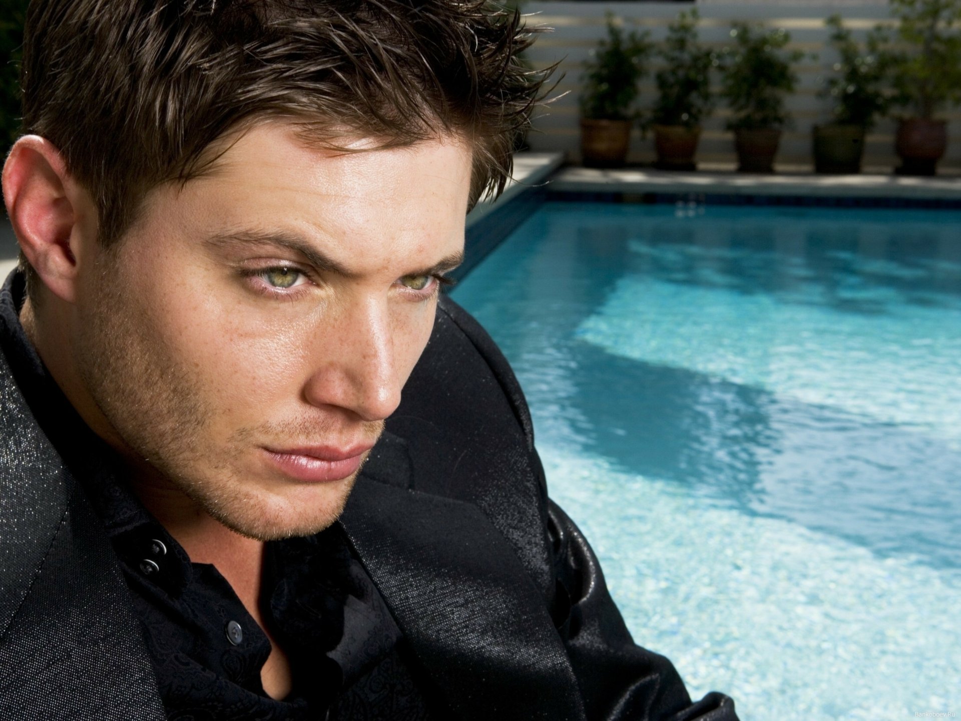 Download Celebrity Jensen Ackles HD Wallpaper