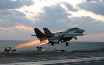 40 Grumman F 14 Tomcat Hd Wallpapers Hintergrunde