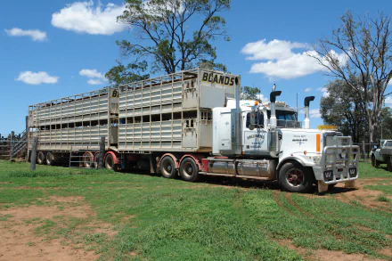 vehicle western star HD Desktop Wallpaper | Background Image
