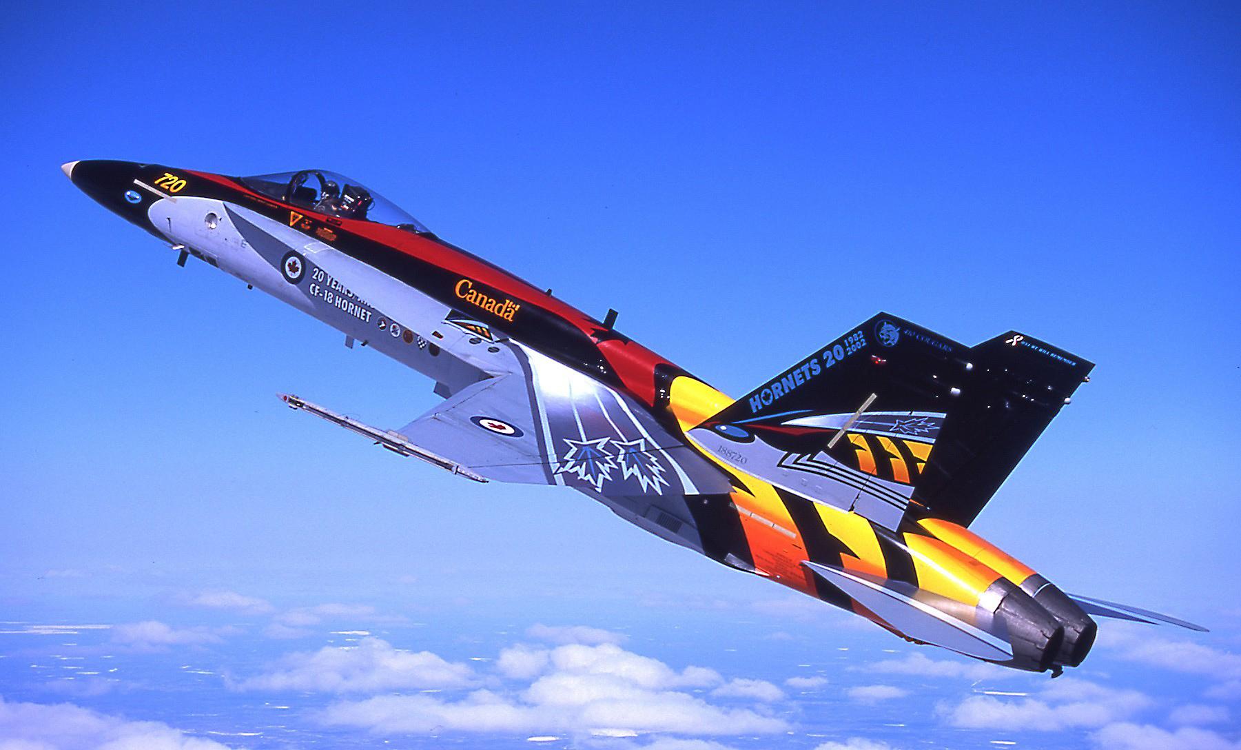 Military McDonnell Douglas CF-18 Hornet HD Wallpaper | Background Image