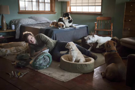 A 4K Ultra HD desktop wallpaper from the TV show Hannibal, featuring a person lying on the floor surrounded by several dogs in a cozy room with beds and chairs.