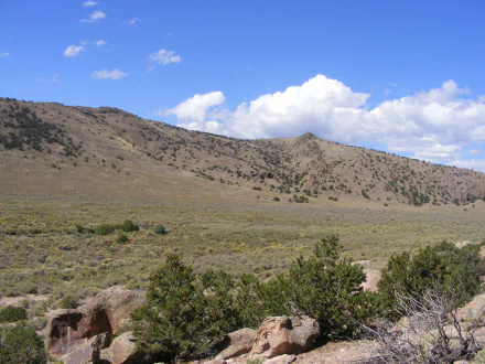 nature sky cloud hill tree bush landscape HD Desktop Wallpaper | Background Image