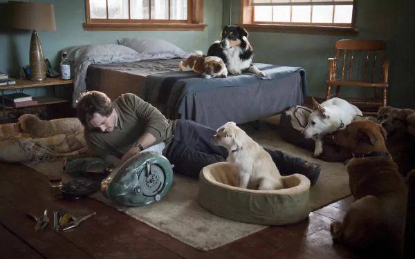 2K Quad HD PC wallpaper from TV series Hannibal: a man lies on a rustic bedroom floor surrounded by numerous dogs and dog beds.