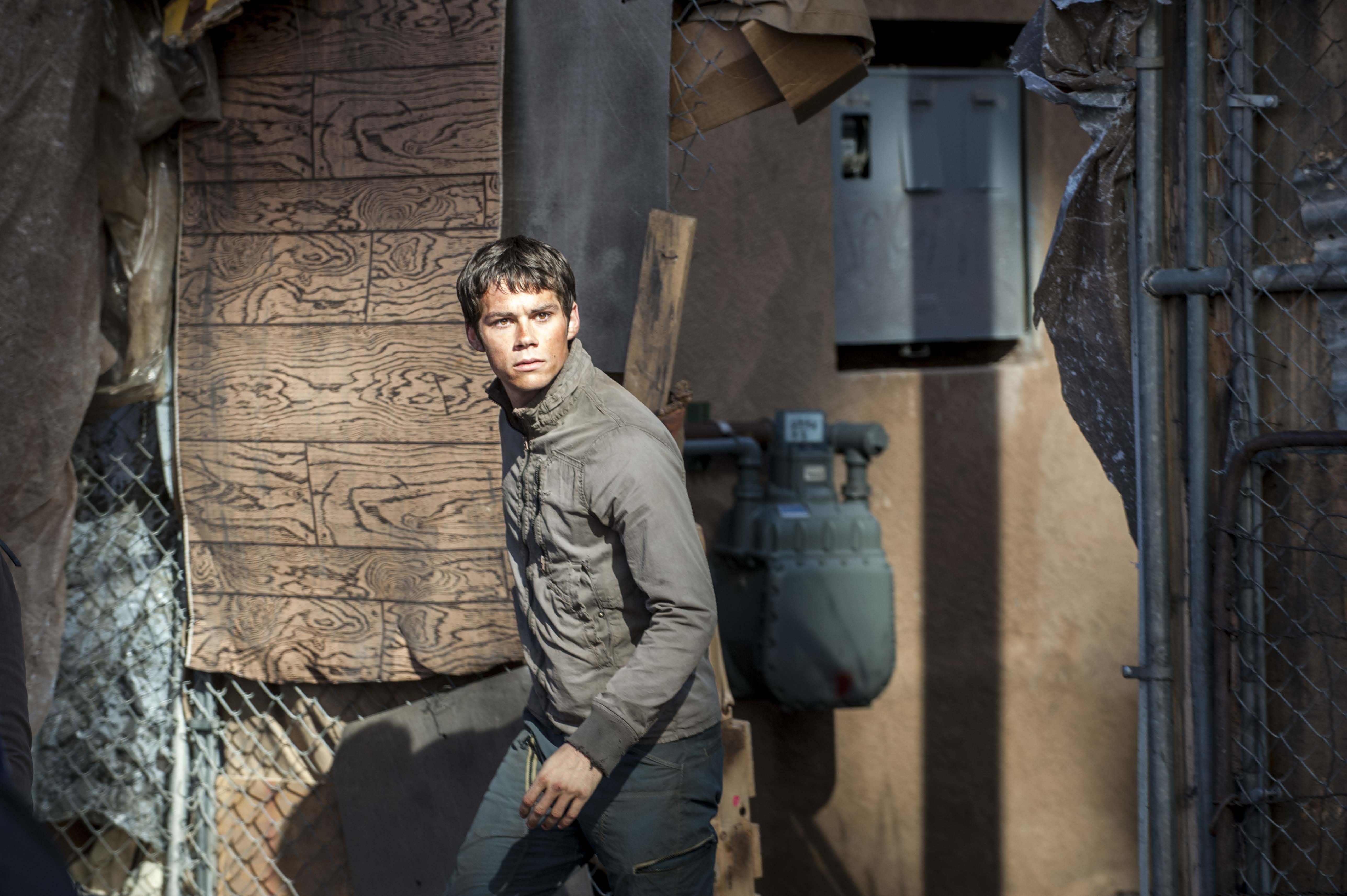 Download Maze Runner Dylan As Thomas Wallpaper