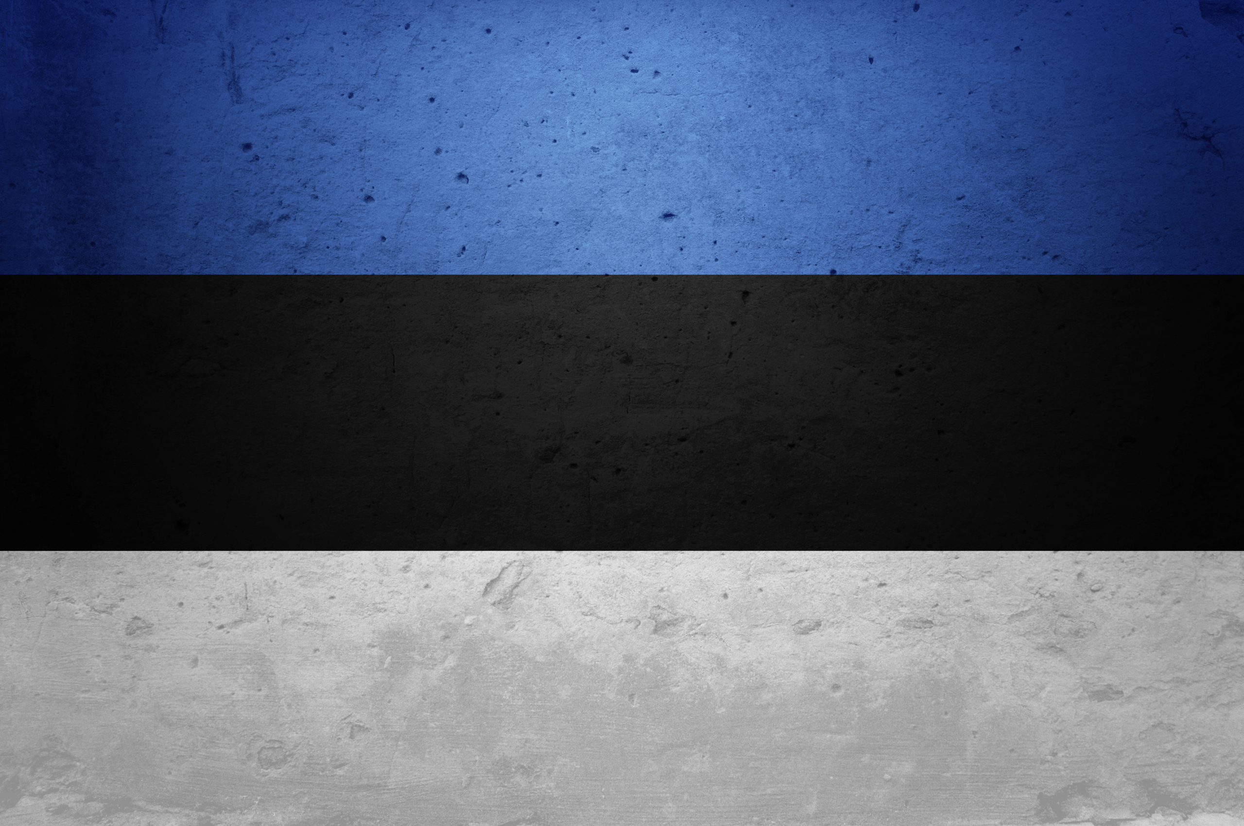 tumblr mobile backgrounds Estonia Flag     Backgrounds Wallpapers 3 HD Wallpaper Of