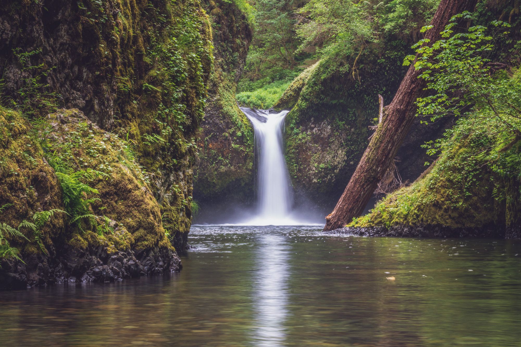 Jungle water. Водопад Итлятляр. Водопад река Богота. Вода в джунглях. Ущелье река джунгли.