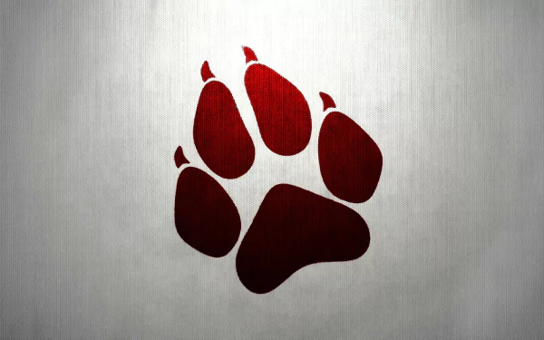 paw Animal artistic HD Desktop Wallpaper | Background Image