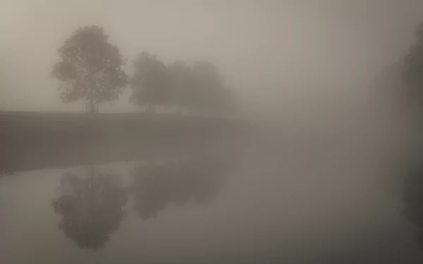nature fog HD Desktop Wallpaper | Background Image