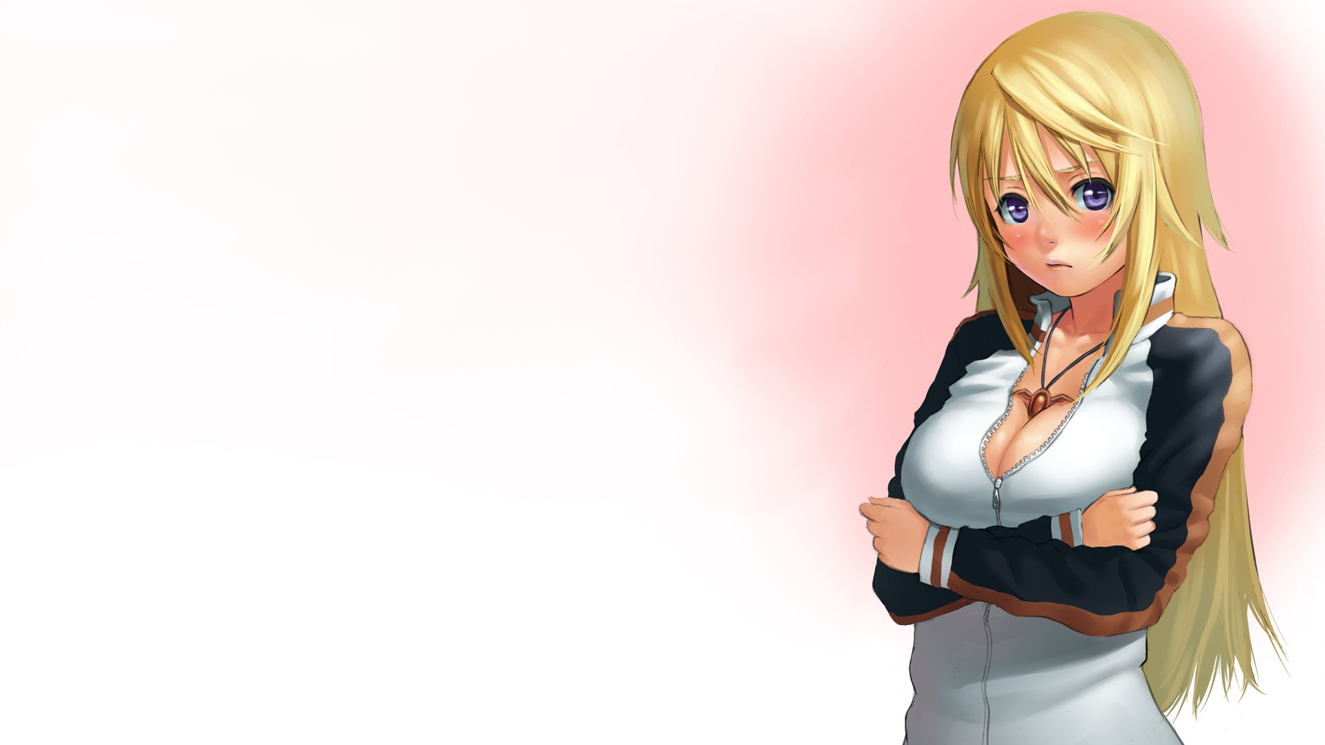 Download Anime Infinite Stratos HD Wallpaper