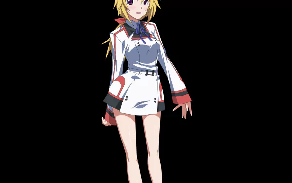 Anime Infinite Stratos HD Desktop Wallpaper | Background Image