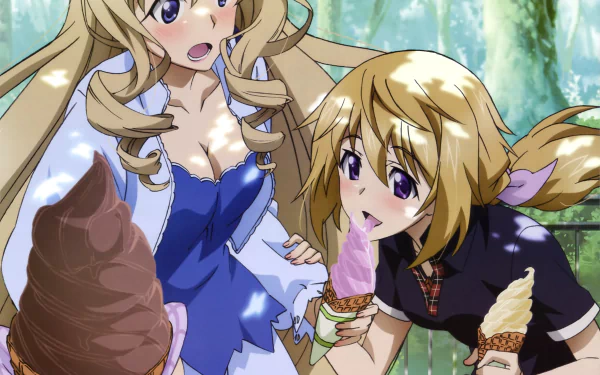 Anime Infinite Stratos HD Desktop Wallpaper | Background Image