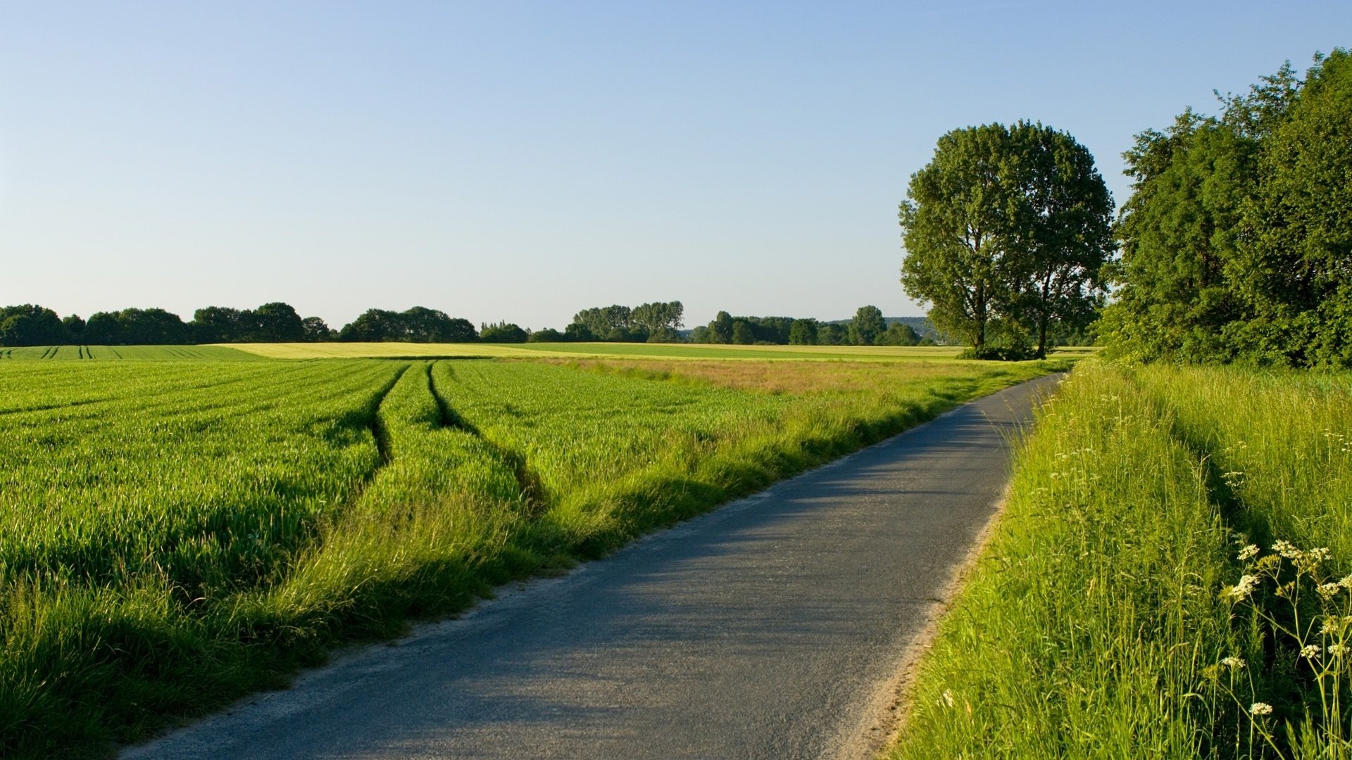 Road Full HD Papel de Parede and Planos de Fundo | 1920x1080 | ID:654137