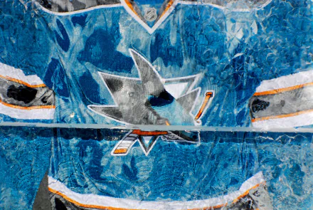  NHL - San Jose Sharks